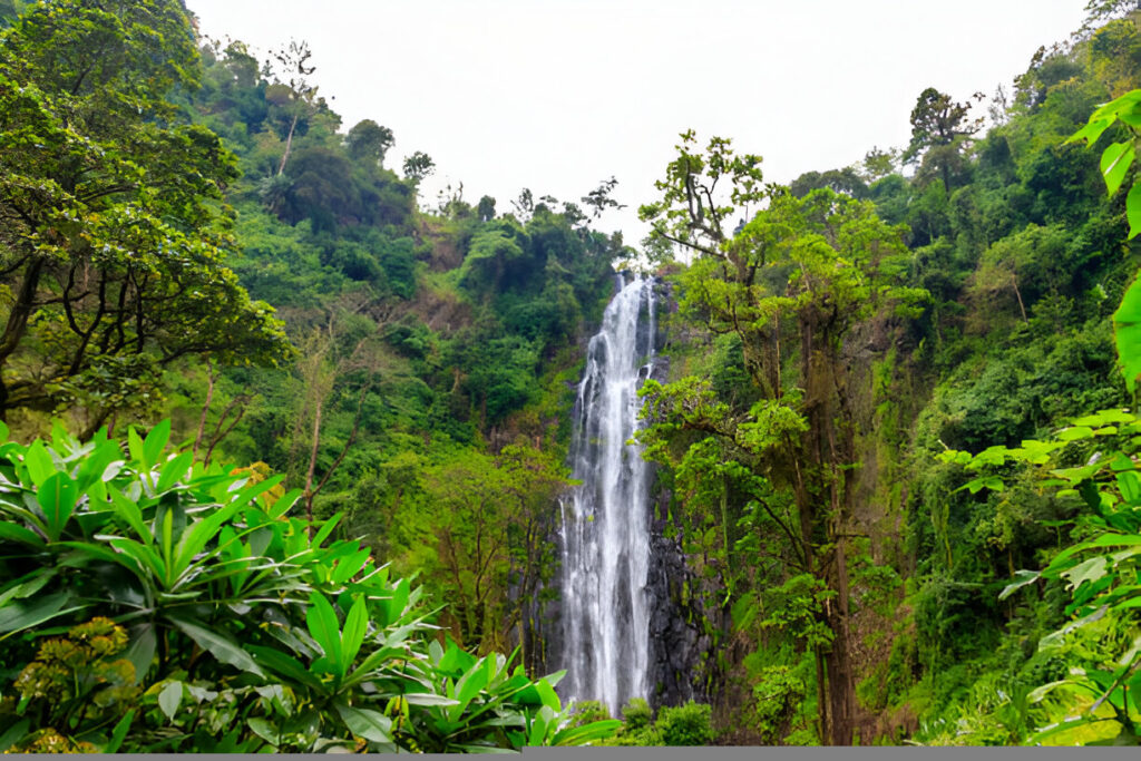 Materuni Waterfall Day Trip