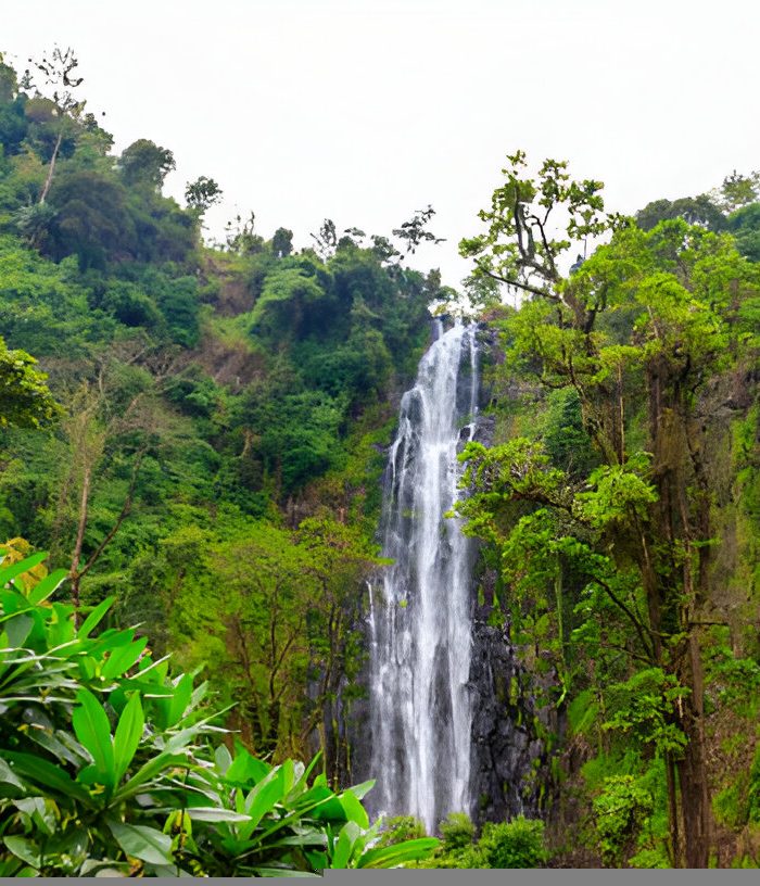 Materuni Waterfall Day Trip – Materuni Village 1 Day Tour from Moshi