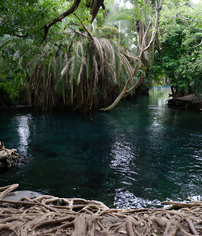 Chemka Hot Spring Day Trip – Kikuletwa 1 Day Tour from Moshi