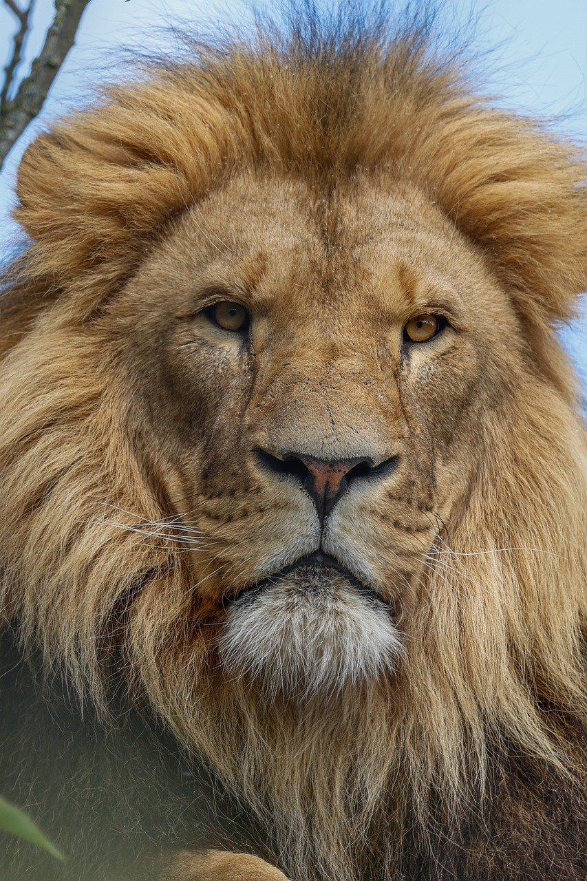 Fullmoon Safaris - Tour Operator