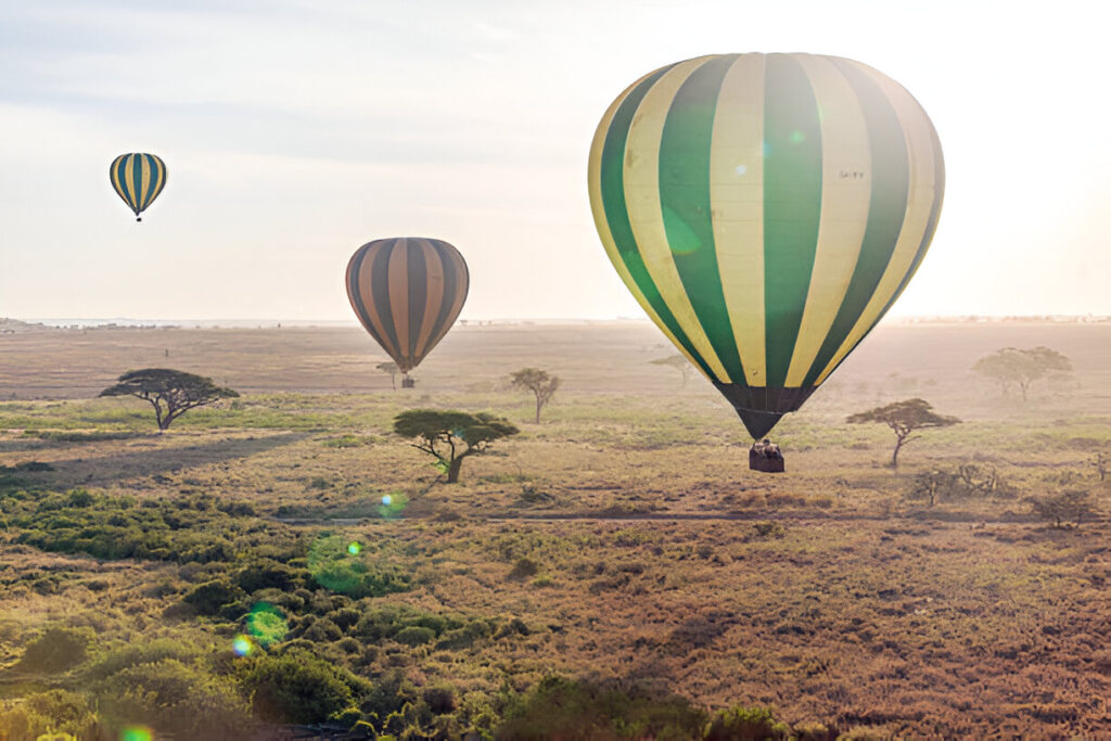 7 Days Serengeti Balloon Safari + Tanzania Big Four Parks