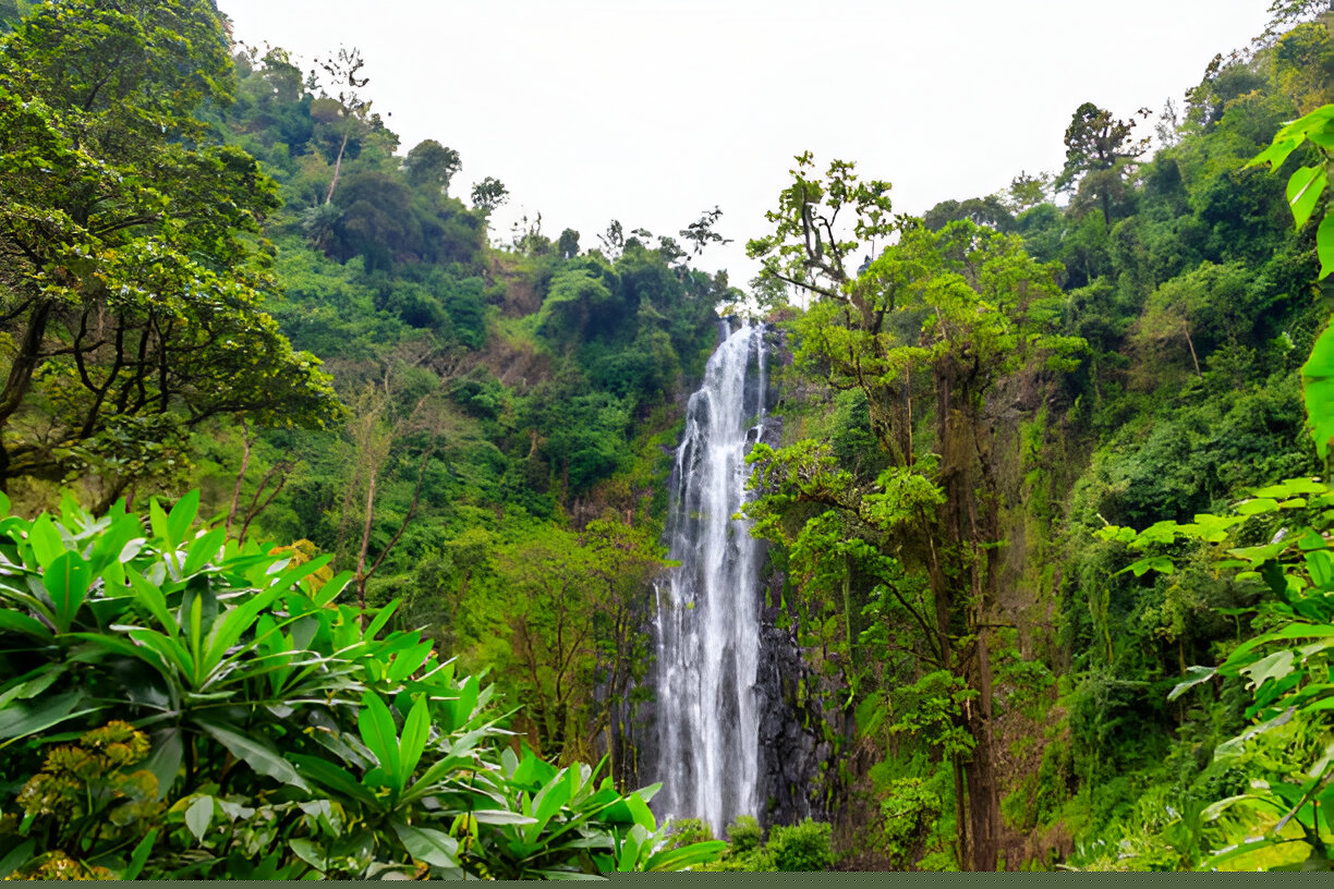 Materuni Waterfall Day Trip – Materuni Village 1 Day Tour from Moshi