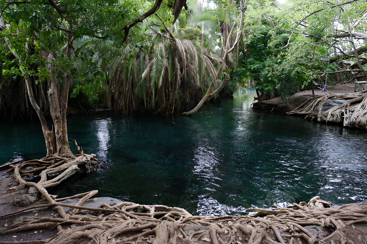 Chemka Hot Spring Day Trip – Kikuletwa 1 Day Tour from Moshi